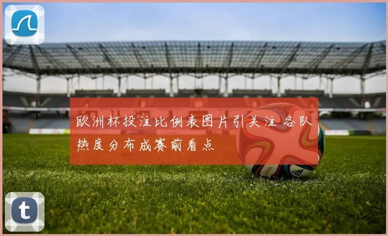 欧洲杯投注比例表图片引关注 各队热度分布成赛前看点